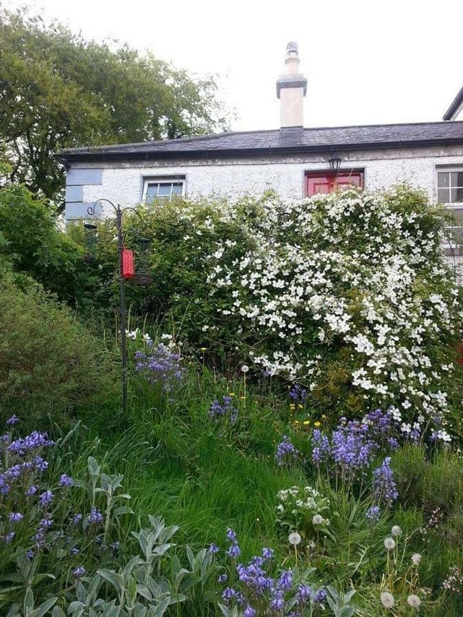 Gormanstown House Apt, The Island Tullamore Zewnętrze zdjęcie