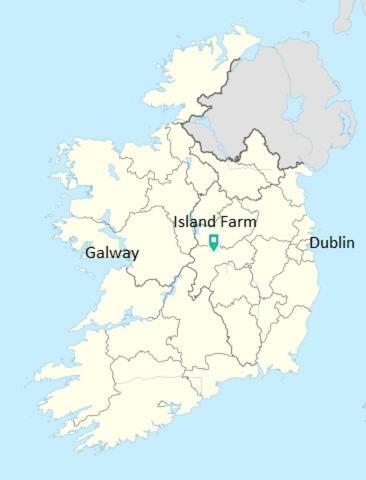 Gormanstown House Apt, The Island Tullamore Zewnętrze zdjęcie